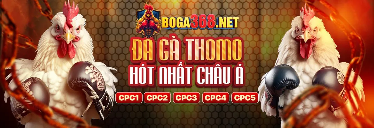 Đá Gà trực tuyến cmm88
